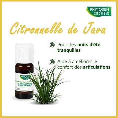 Phytosun Citronella Java 10 ml