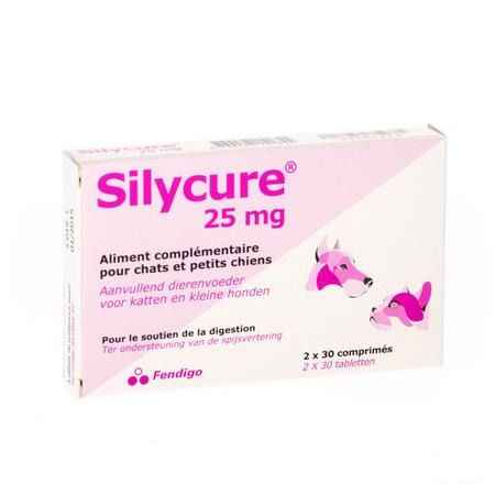 Silycure Tabletten 2x30x25 mg Blister  -  Fendigo