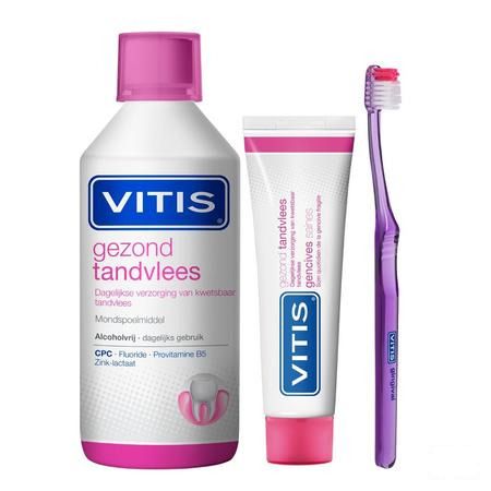 Vitis Gingival Brosse A Dents 1 2872  -  Dentaid