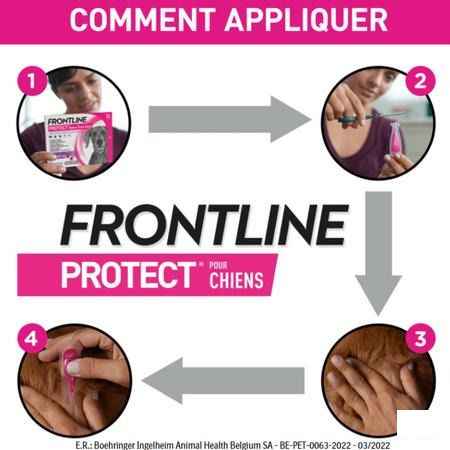 Frontline Protect Spot On Sol Chien 40-60Kg Pipet3