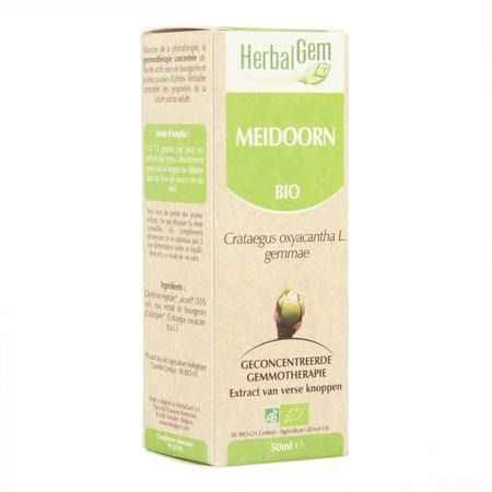 Herbalgem Meidoorn Maceraat 50 ml  -  Herbalgem
