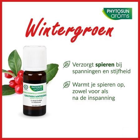 Phytosun Wintergroen Eco 10 ml