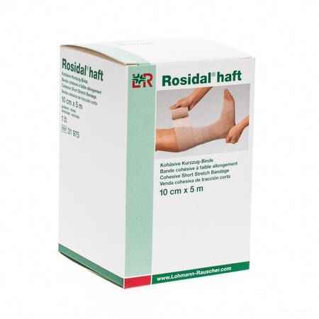 Rosidal Haft Cohesieve Windel 10cmx5m 1 31975  -  Lohmann & Rauscher