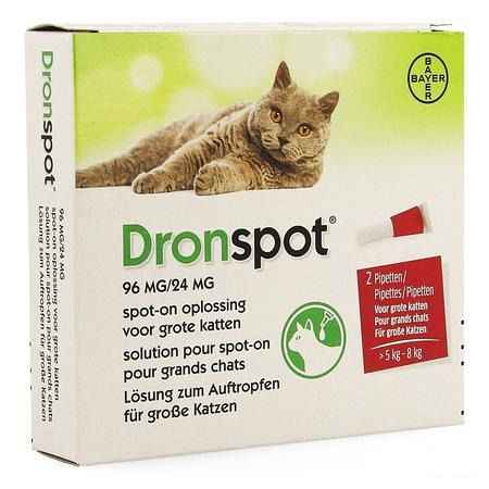 Dronspot 96 mg/24 mg Spot-On Kat Groot >5-8Kg Pip 2