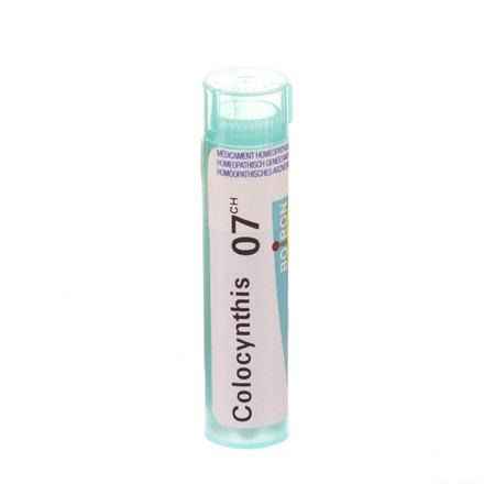 Colocynthis 7CH Gr 4g  -  Boiron