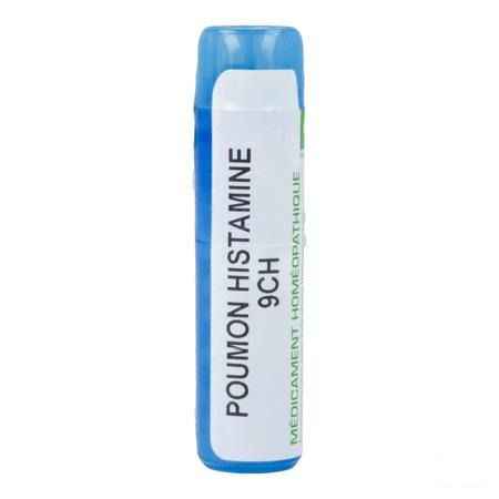 Poumon Histamine 9CH Gr 4g  -  Boiron