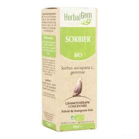 Herbalgem Sorbier Macerat 50 ml  -  Herbalgem