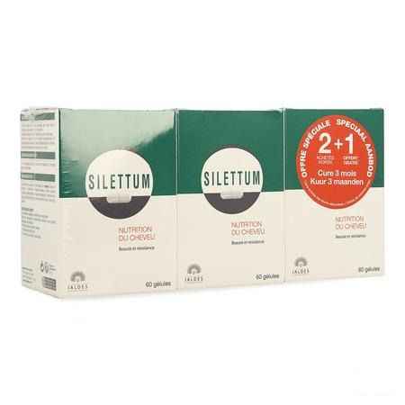 Silettum Cure 3 Mois Gel 3X60